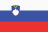 Купа на Словения