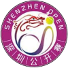 WTA Шънджън